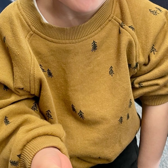 Zara Sweatshirt with Trees - Picture 5 of 10